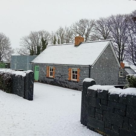 Fenniscourt Cottage Карлоу Экстерьер фото